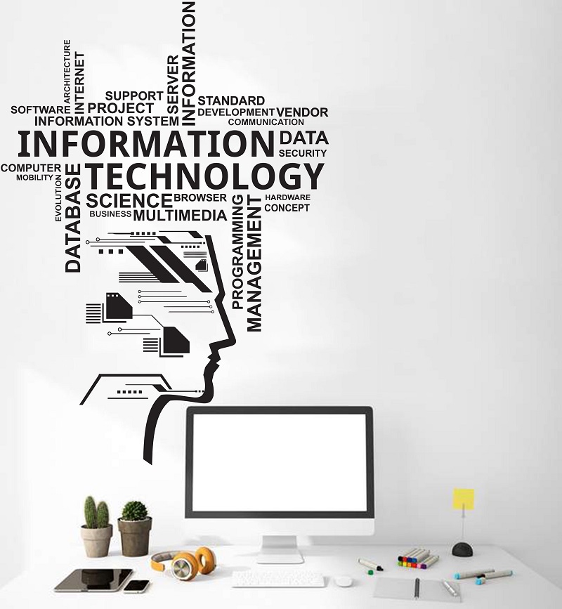 Information Technology Vinyl W - Information Technology Officer ulasan dan harga
